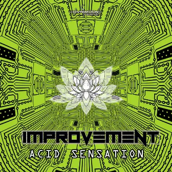 Acid Sensation by Improvement