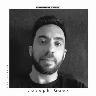 The Groove by Joseph Gaex