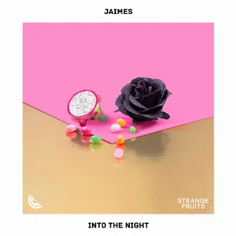 Into the Night by Jaimes