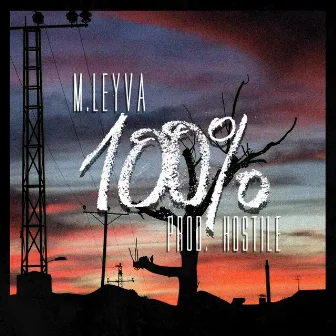 100% by M.Leyva