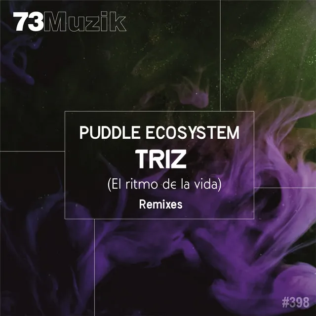 Triz (El Ritmo De La Vida) - Adrian Zgz Remix