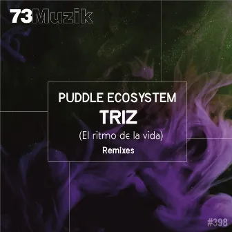 Triz (El Ritmo De La Vida) Remixes by Puddle EcoSystem