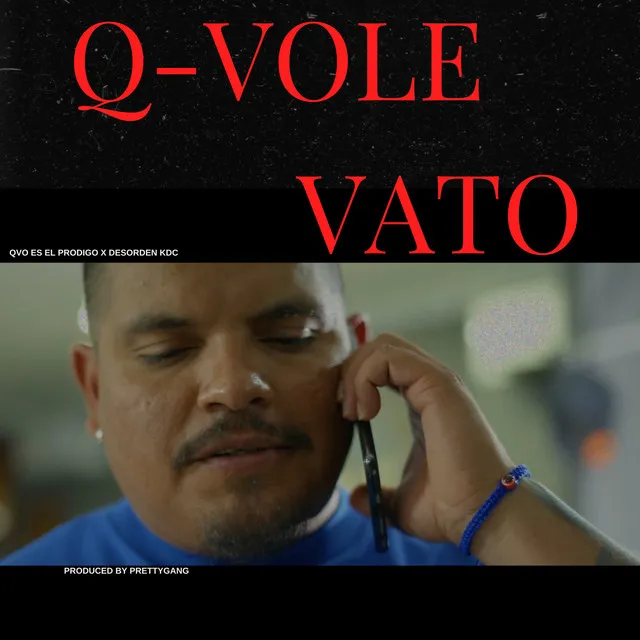 Q-Vole Vato