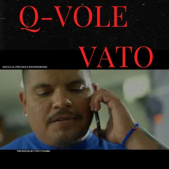 Q-Vole Vato by Qvo es el prodigo