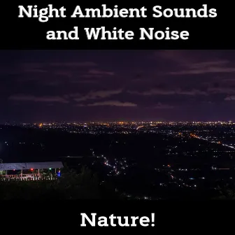 Night Ambient Sounds and White Noise, Loopable by Nature!