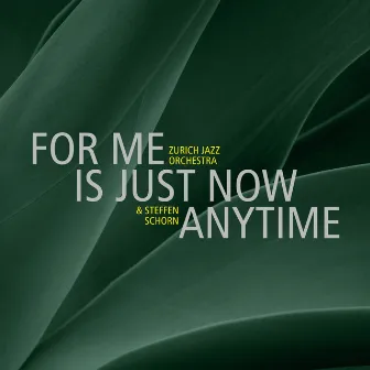 For Me is Just Now Anytime by Steffen Schorn