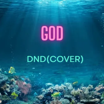 DND (Cover) by goD