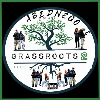 Grassroots 2 by Abednego E Grant