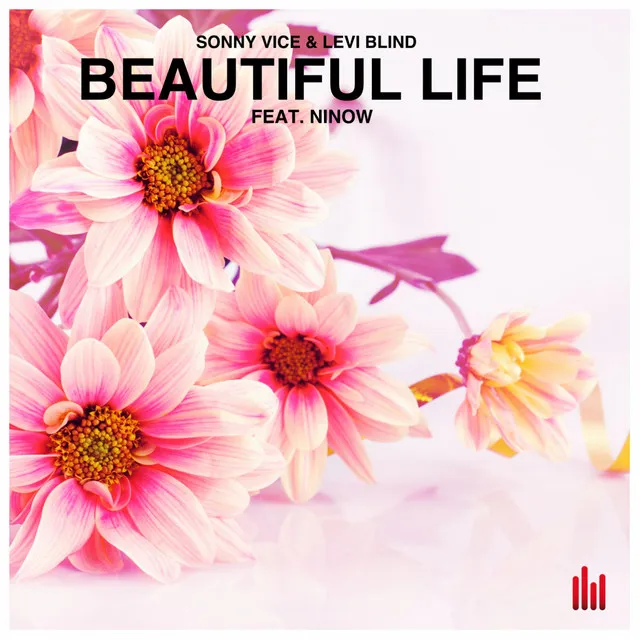 Beautiful Life - Radio Mix