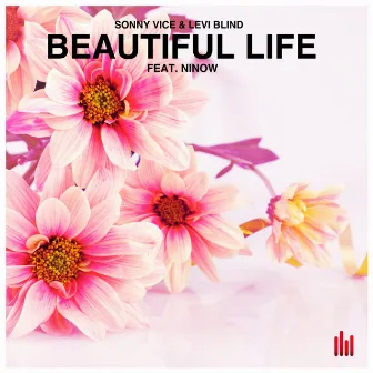 Beautiful Life (feat. Ninow) by Sonny Vice