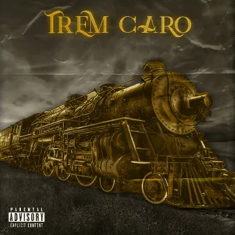 Trem Caro by Luiza