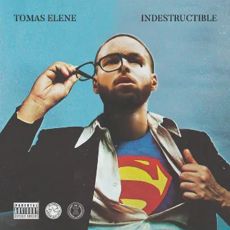 Indestructible by Tomas Elene