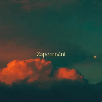 Zapomnění by Mercy Blake