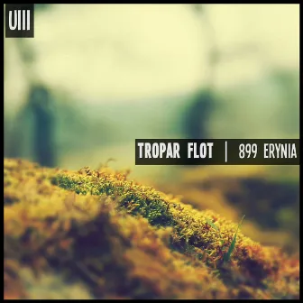 899 Erynia by Tropar Flot