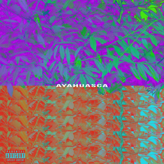 Ayahuasca