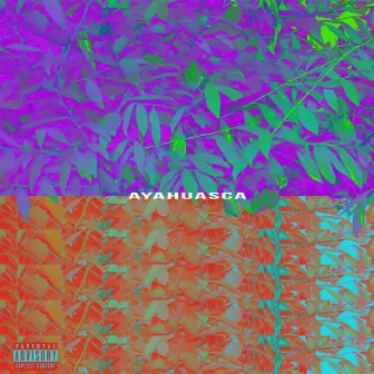 Ayahuasca by Karl & Taff