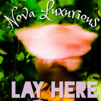 Lay Here by Unknown Artist