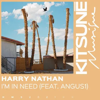 I'm in Need by Harry Nathan