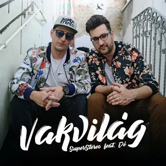 Vakvilág by Dé