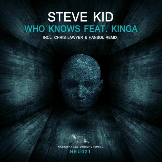 Who Knows (feat. Kinga) - Chris Lawyer & Hansol Remix