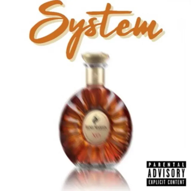 System