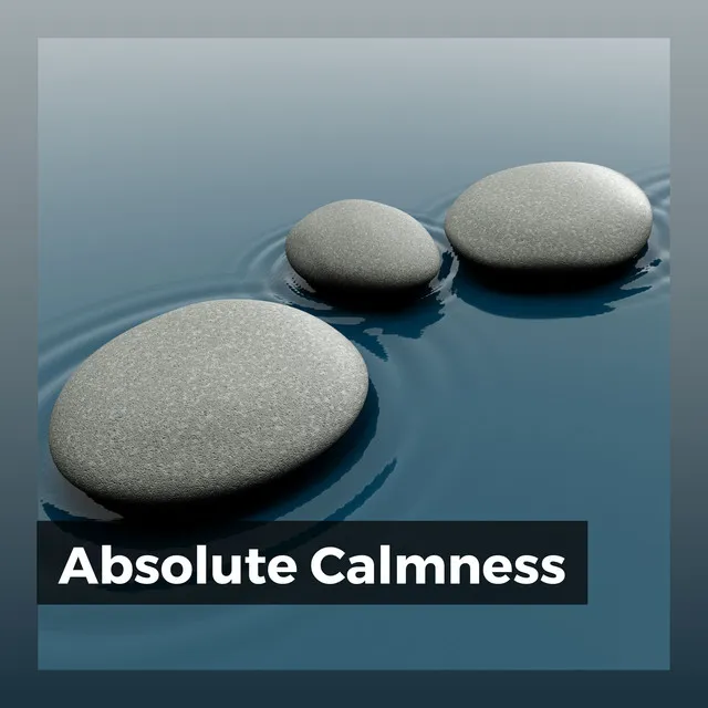 Absolute Calmness