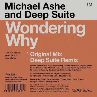 Wondering Why by Deep Suite