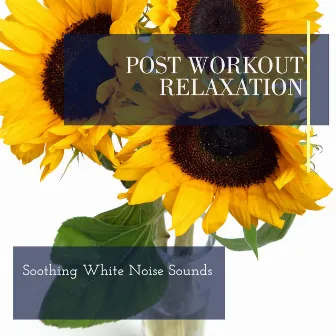 Post Workout Relaxation - Soothing White Noise Sounds by Ethereal Nature Sounds