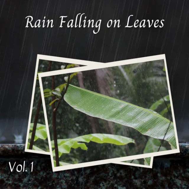 Rain Falling on Leaves Vol. 1