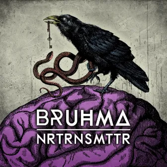 NRTRNSMTTR by Bruhma