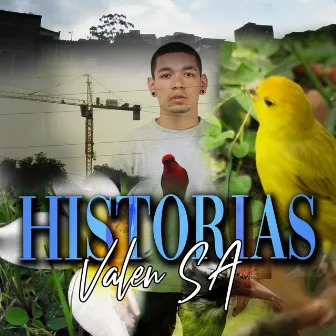 Historias by Valen SA