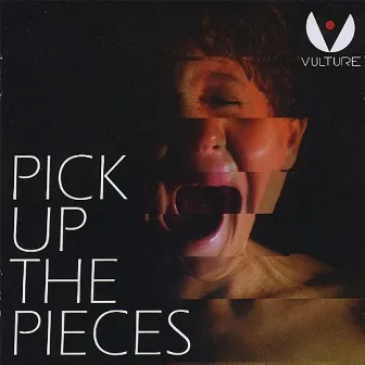 Pick up the Pieces by Vulture