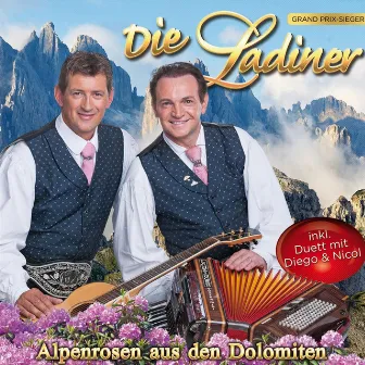 Alpenrosen aus den Dolomiten by Die Ladiner