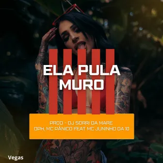 Ela pula o muro by Unknown Artist