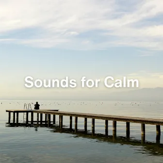 Sounds for Calm by Unknown Artist