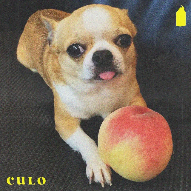 Culo