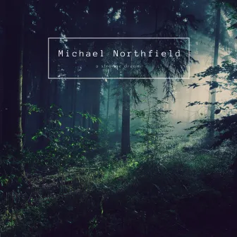 A Strange Dream by Michael Northfield