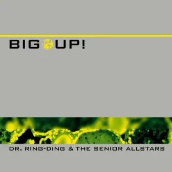 Big Up! by Dr. Ring Ding