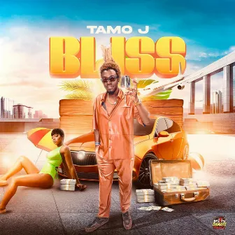 Bliss by Damage Musiq