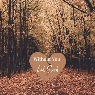 Without You by Lil Sach