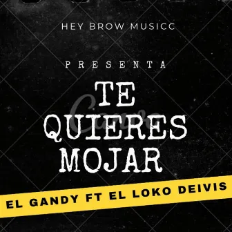 Te Quieres Mojar by El Gandy