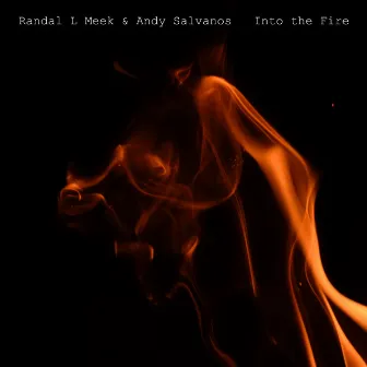 Into the Fire by Andy Salvanos