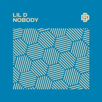 Nobody by Lil D