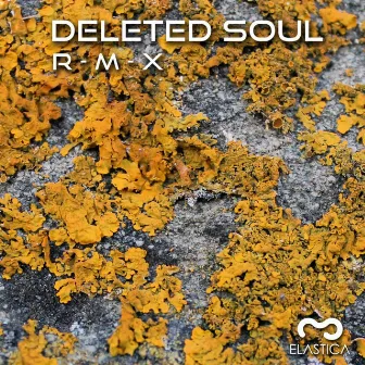 R-M-X by Deleted Soul