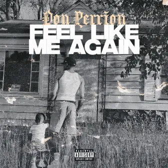 Feel Like Me Again by Don Perrion