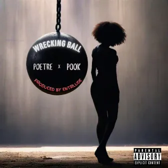 Wrecking Ball by Project Pook