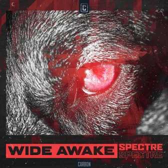 Wide Awake by Spectre