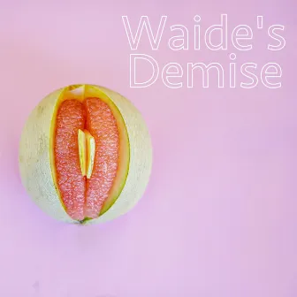 Waide's Demise by Waide Lemos