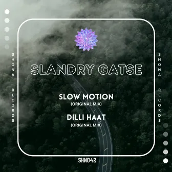 Slow Motion by Slandry Gatse