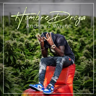 Hombre Droga by Andrewz Wayne